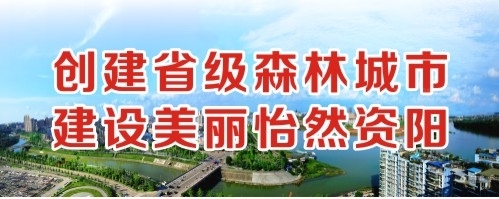 日逼逼黄色创建省级森林城市 建设美丽怡然资阳